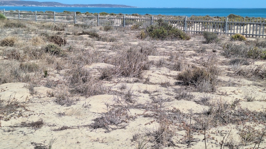 0 Bedroom Property for Sale in Atlantic Waves Estate Western Cape